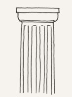 <p>welke zuil is dit </p>