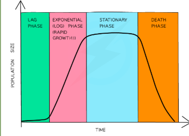 <ul><li><p>for equilibrium species </p></li></ul><ul><li><p>Sigmoid shape </p></li><li><p>Has 4 phases </p></li></ul><p></p>