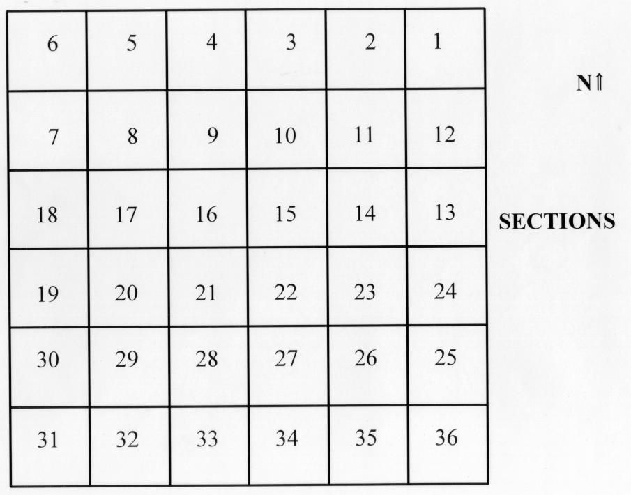 <p>A land surveying method that’s in square patterns</p>