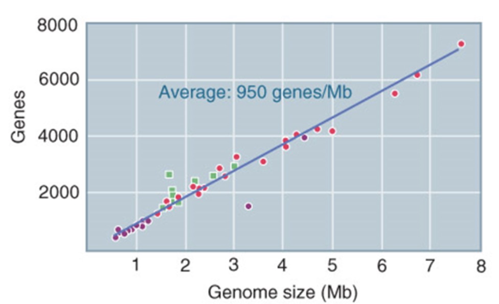 Gene number 