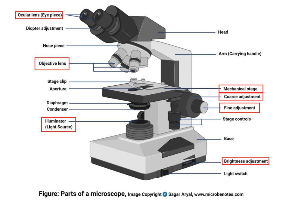 <p>microscope parts</p>