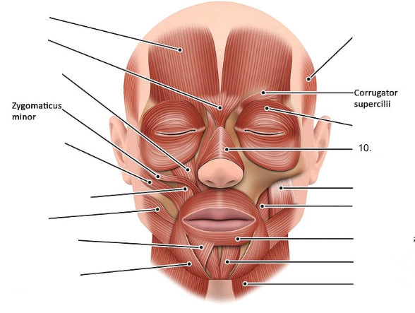 <ol start="10"><li><p></p></li></ol><p></p>