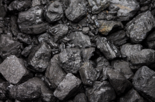 <p>Accumulation and rapid burial of organic debris (e.g coal, oil shale)</p><ul><li><p>Must have 10-20% organic material</p></li></ul>