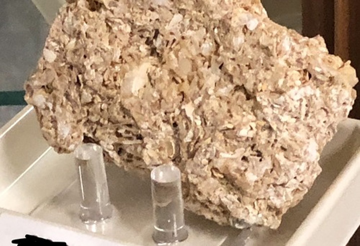 <p>Coquina</p>
