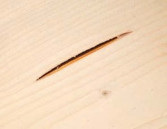 pocket like holes on wood