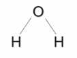 <p>Water is composed of 2 main elements, oxygen and hydrogen, in a 1:2 ratio respectively<strong> (H2O).</strong></p><p>And in these water molecules bond with covalent bonds, however became oxygen is more electronegative compared to hydrogen, it results in an unequal sharing of electrons between oxygen and hydrogen.</p><p>This covalent bonding can result in polarity when there are differences in atomic electronegativity, causing the hydrogen to have a partial positive and the oxygen to have a partial negative charges.</p>