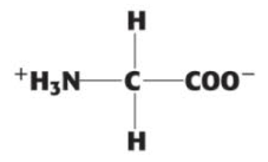 <p>(Gly, G). non-polar, aliphatic</p>