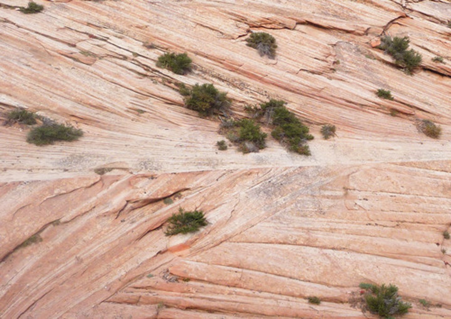 <p>cross bedding</p>