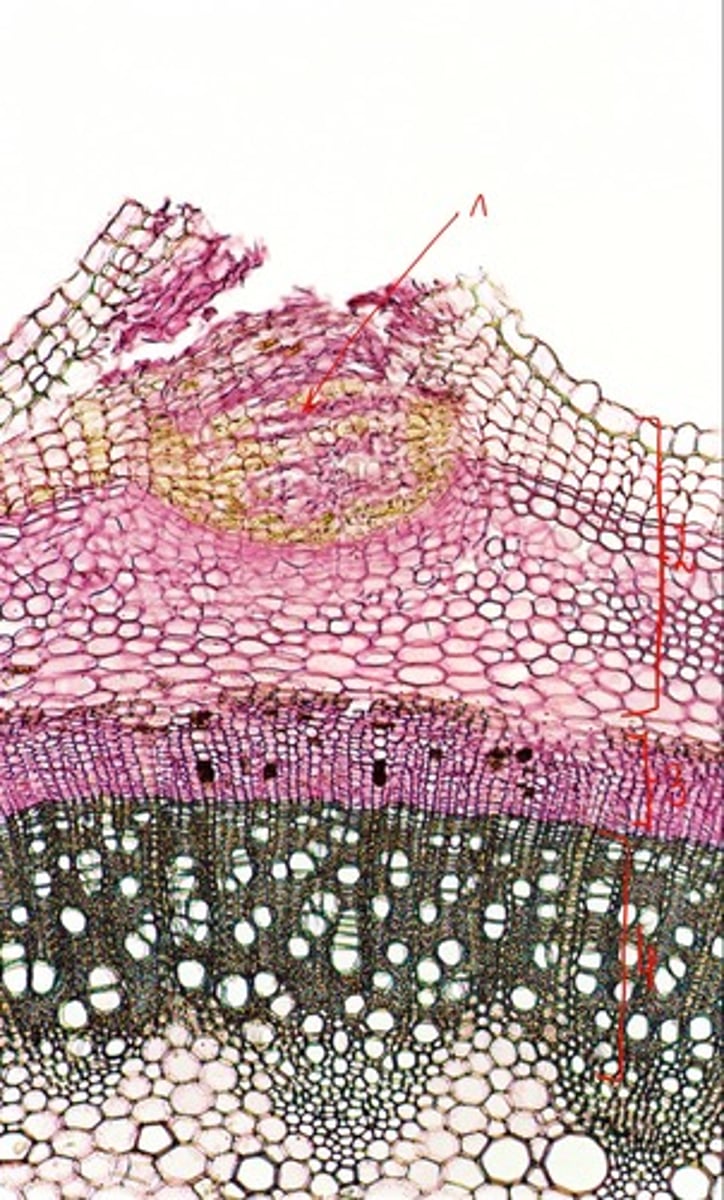 <p>1</p>