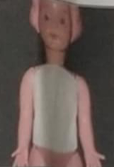 <p>Body Cast</p>