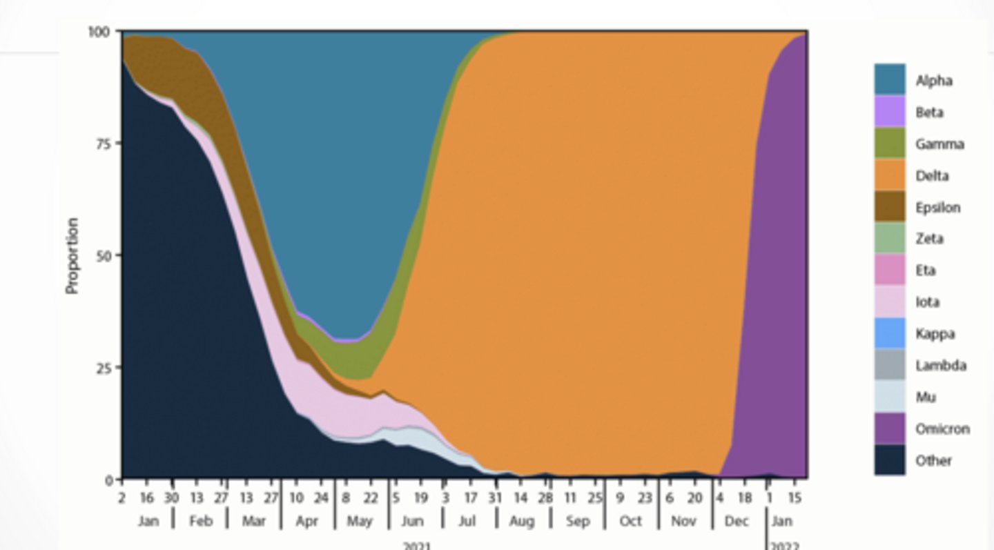 <p>Variant prevalence over time</p><p>Early → Alpha/Beta</p><p>Mid → Delta takes over</p><p>Late → Omicron completely dominates</p><p>Variants don’t stop evolving.</p><p>You’ll see new lineages (XBB, BA, etc.)</p><p>Each has slight mutations → affects:</p><p>transmissibility</p><p>immune escape</p><p>Long COVID = symptoms lasting months after infection</p><p>long-term damage/response</p><p>The more reinfection that occurs the higher the rate of long covid</p>