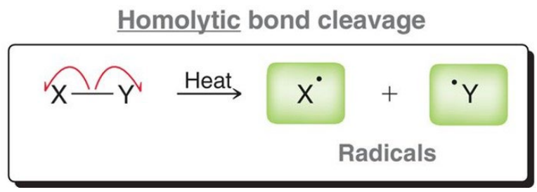 <p>A free electron from homolytic bond cleavage.</p>