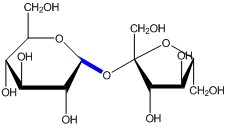 <p>Glycosidic Bond</p>