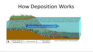 <p>The particles, or sediments, are deposited in sedimentation basins at the bottom of the seas and oceans to form deposits in successive, more or less horizontal layers.</p>