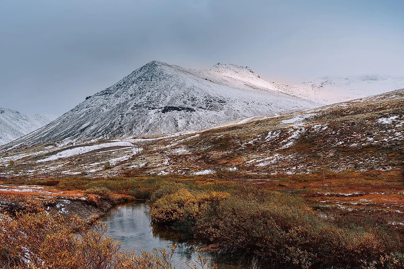 <p>Tundra</p>