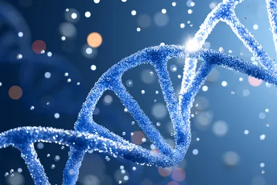 <p><span style="font-family: Aptos, sans-serif; line-height: 115%;">Where is DNA found?</span></p>