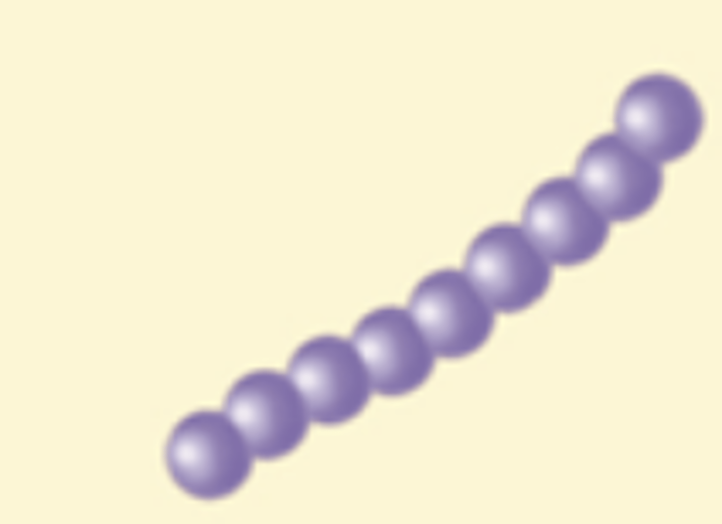 <p>What is the arrangement of the bacteria shown?</p>