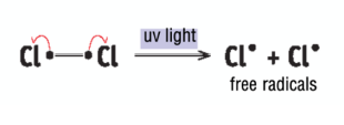 <p>Cl2 molecule broken down into two Cl free radicals in the presence of UV (homolytic fission)</p>