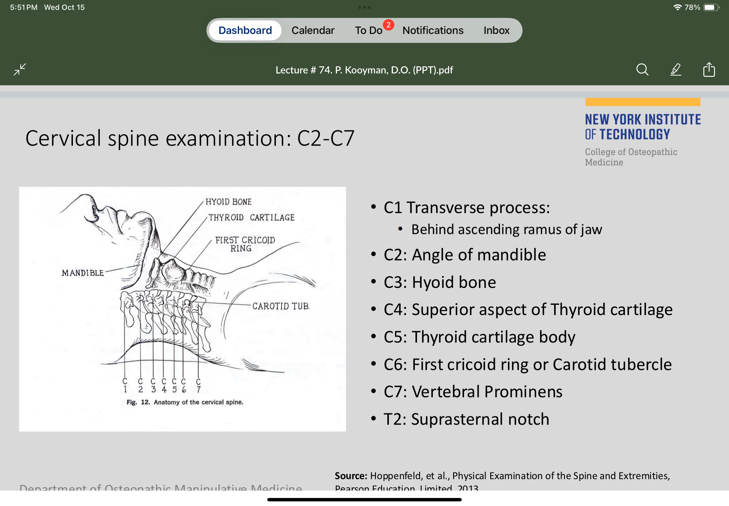 <p>Superior aspect of the thyroid cartilage </p>