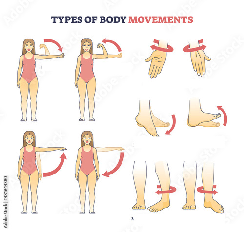 Movement away from the midline of the body
