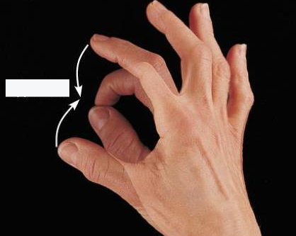 <p>move thumb toward fingerprints</p>