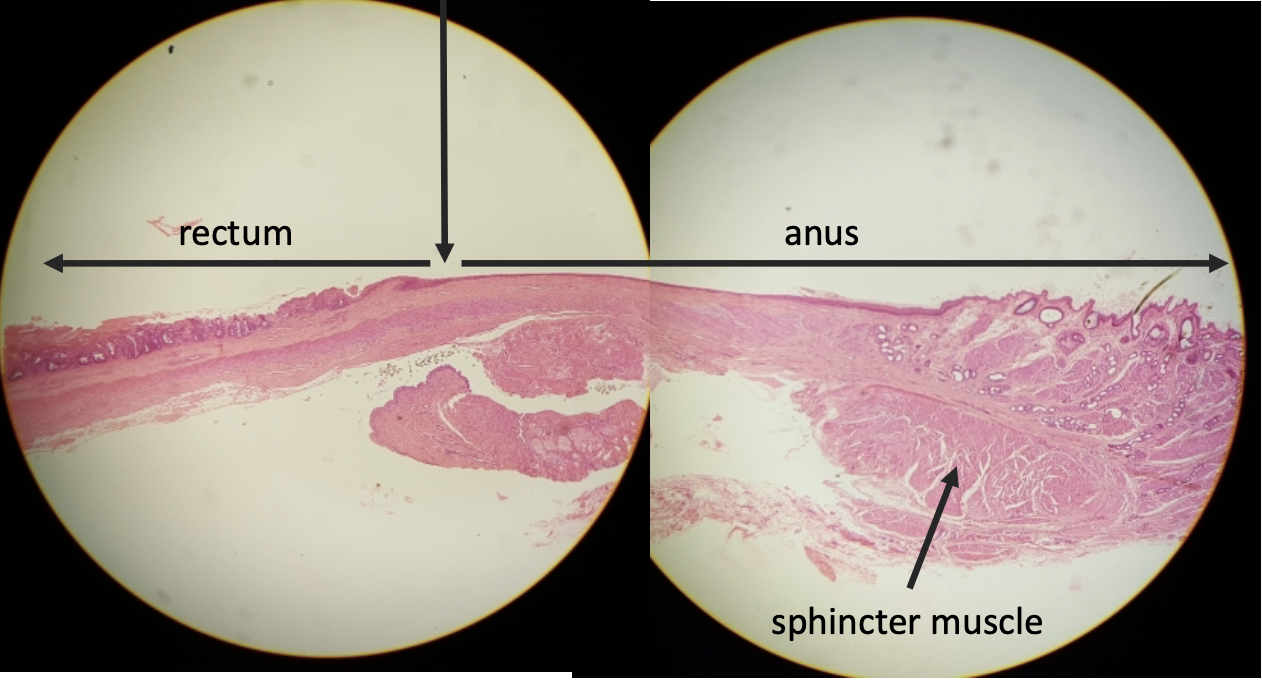 <p>what is this?&nbsp;</p>