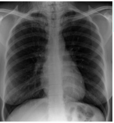 <p>what do you see?</p>