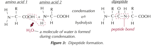 ~ Reaction not revisible