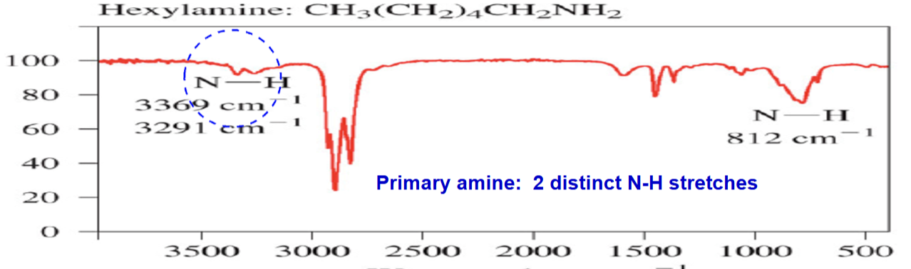 <p>Amines (N-H) stretching bond </p>