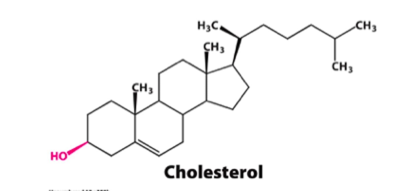 <p>lipids containing multiple rings of carbon atoms</p><p>ex: cholesterol</p>
