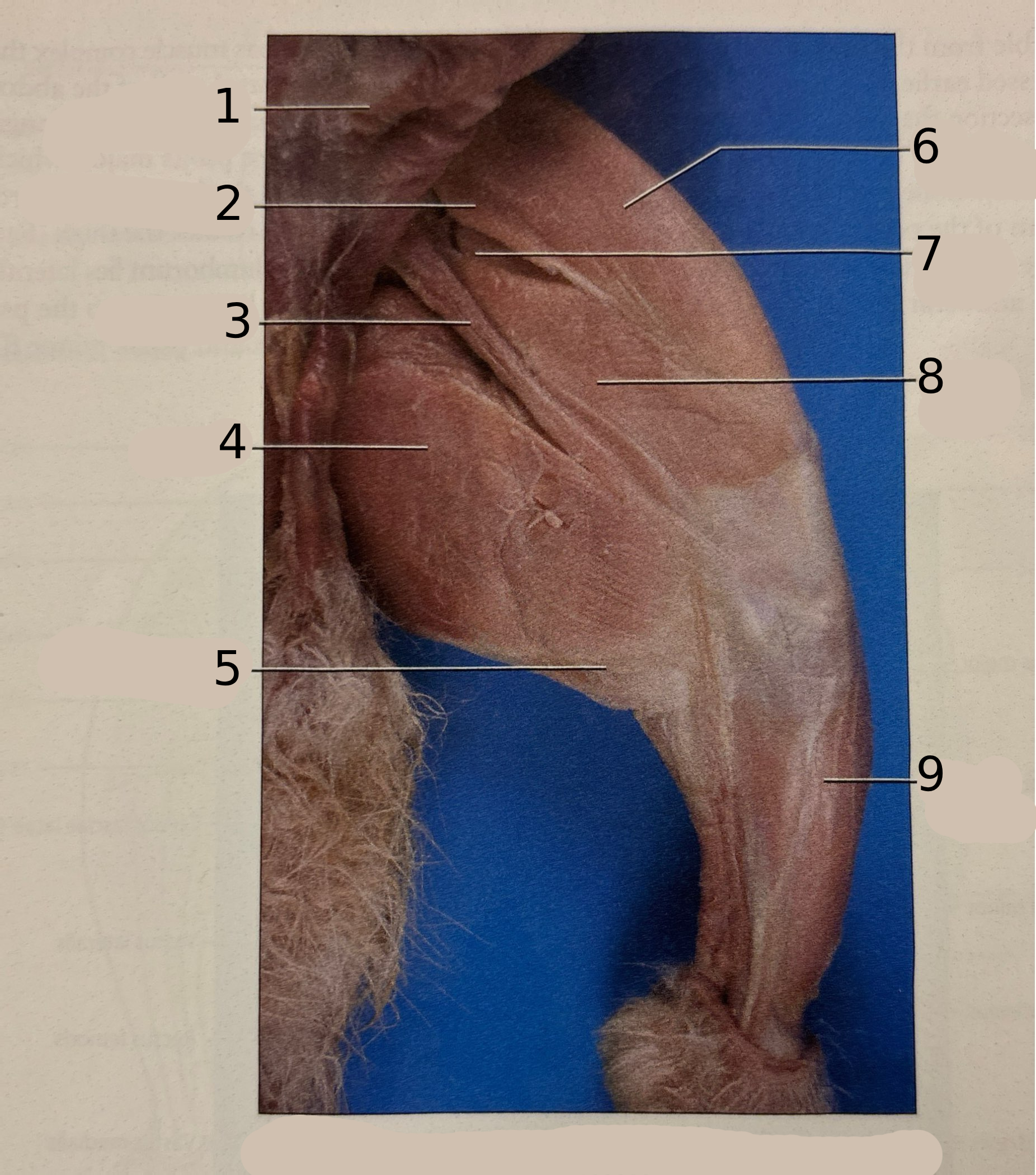 <p>2</p>