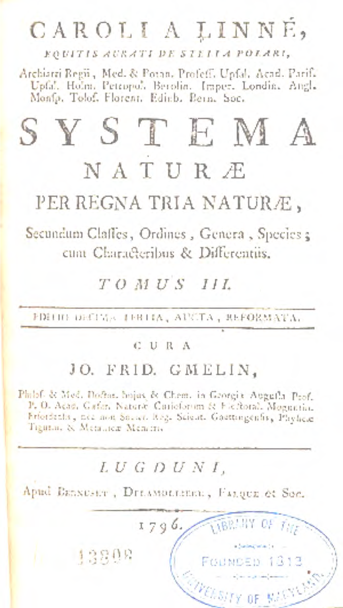 term image