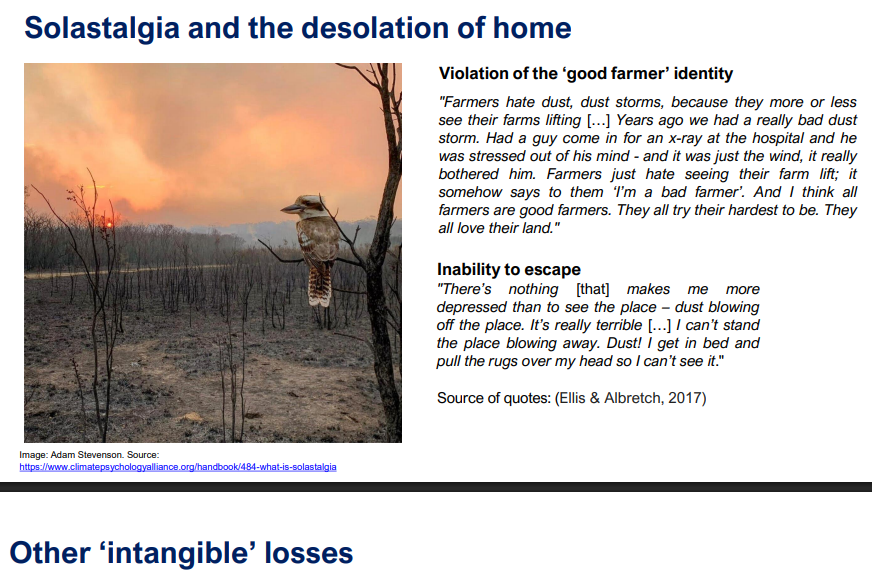 <p>Sostalgia and the desolation of home</p>