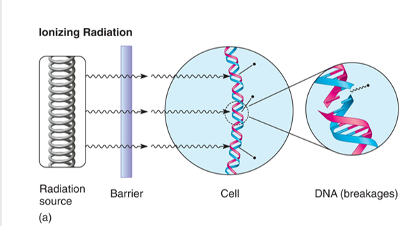 <p>Ionizing radiation can penetrate barriers </p>