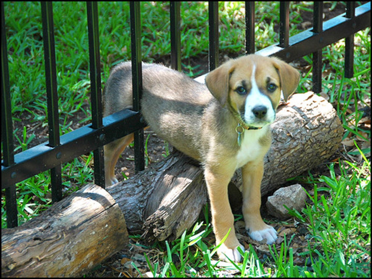 <p>(adj): bị kẹt</p>