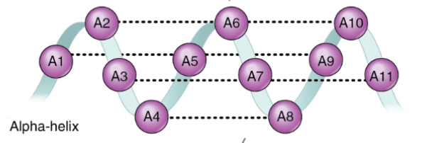 <p>What is this?</p>