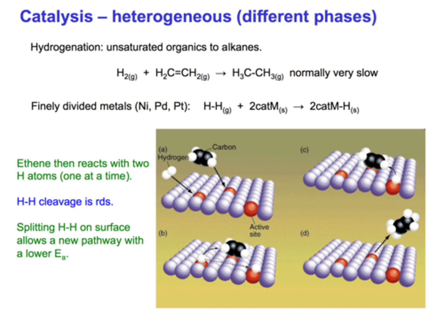 <p>a catalyst whose phase is different from the reactants</p>