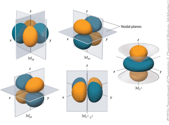 <ul><li><p>The ℓ = 2 orbitals have clover shape. </p></li><li><p>Five degenerate np orbitals mℓ = -2, -1, 0, +1, +2 </p></li><li><p>Angular nodes between positive and negative lobes</p></li></ul><p></p>