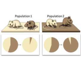 <p>describe what is shown in the figure</p>