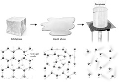 Gas phase
