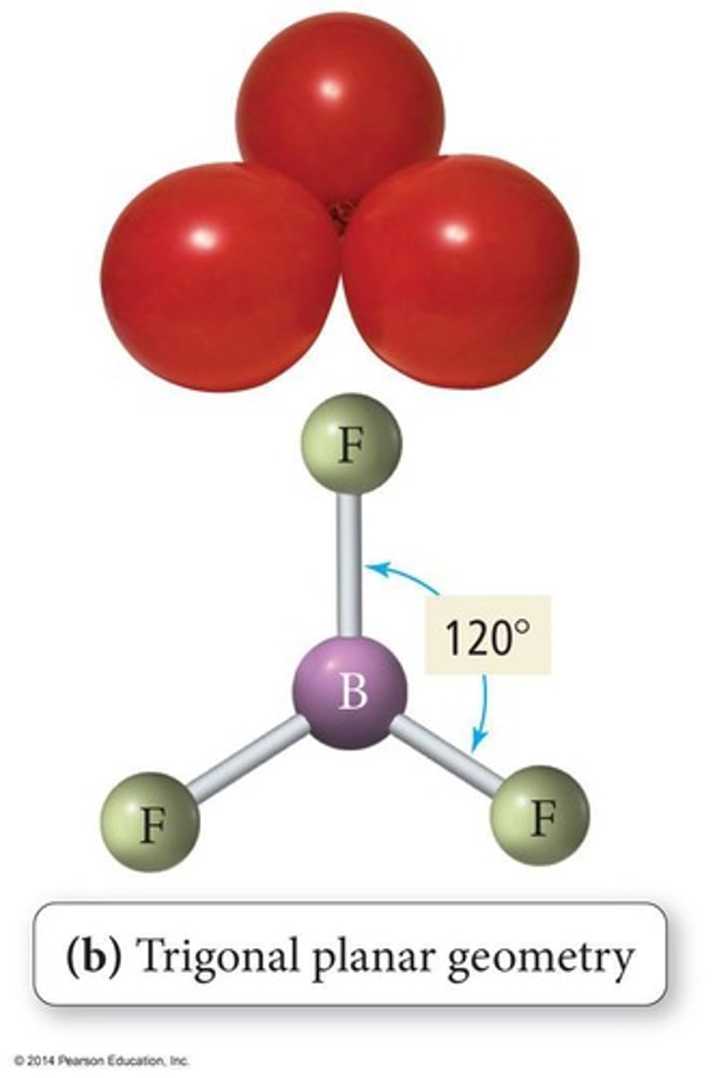 <p>Three bonded atoms, 120° bond angles.</p>