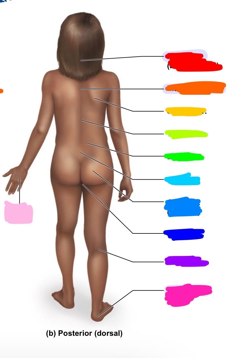 <p>what is light blue</p>