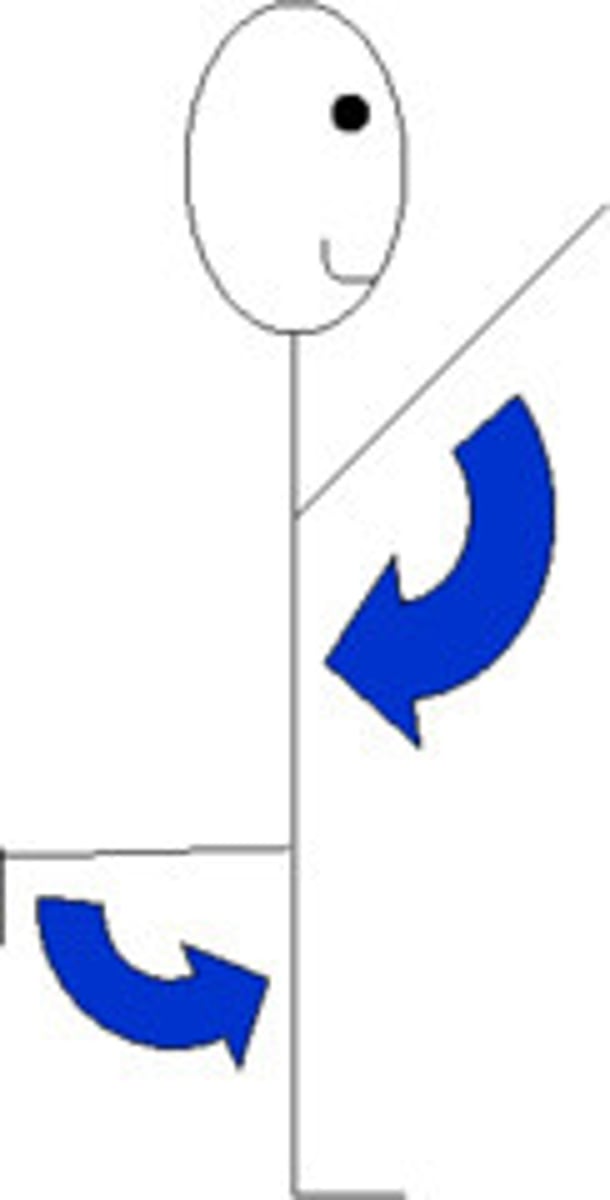 <p>Opposite of flexion; movement in the saggital plane that increases the angle of the joint or distance between two bones or parts of the body.</p>