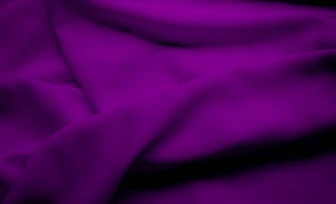 <p>viola</p>