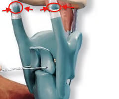 <p>What is this structure?</p>