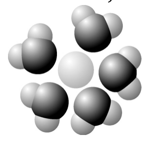 <p>19. Based on your knowledge of the polarity of water molecules, the solute molecule is most likely</p><table style="min-width: 184px"><colgroup><col><col style="width: 84px"><col><col><col></colgroup><tbody><tr><td colspan="1" rowspan="1"><p class="p3">a.</p></td><td colspan="1" rowspan="1" colwidth="84"><p class="p1">positively charged.</p></td><td colspan="1" rowspan="1"><p class="p3">d.</p></td><td colspan="1" rowspan="1"><p class="p1">hydrophobic.</p></td><td colspan="1" rowspan="1"><p></p></td></tr><tr><td colspan="1" rowspan="1"><p class="p3">b.</p></td><td colspan="1" rowspan="1" colwidth="84"><p class="p1">negatively charged.</p></td><td colspan="1" rowspan="1"><p class="p3">e.</p></td><td colspan="1" rowspan="1"><p class="p1">nonpolar.</p></td><td colspan="1" rowspan="1"><p></p></td></tr><tr><td colspan="1" rowspan="1"><p class="p3">c.</p></td><td colspan="1" rowspan="1" colwidth="84"><p class="p1">without charge.</p></td><td colspan="1" rowspan="1"><p class="p4"></p></td><td colspan="2" rowspan="1"><p class="p4"></p></td></tr></tbody></table><p></p>