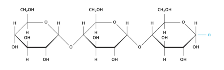 <p>Which type of polysaccharide is represented by a single chain structure (image)?</p>