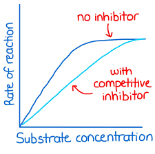 <p>the inhibitors are overcome due to competition and maximum rate is reached</p>