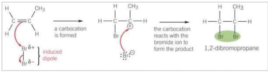 <ol><li><p>Br<sub>2</sub> is a non-polar molecule. When Br<sub>2 </sub>approaches an alkene, the pi-electrons interact with electrons in the Br-Br bond causing polarisation across the Br-Br bond in an induced dipole.</p></li><li><p>The electron pair in the pi-bond is attracted to the partially positive Br, causing the double bond to break</p></li><li><p>A bond between a C atom of the C=C bond and the partially positive Br atom is formed</p></li><li><p>The Br-Br bond breaks by heterolytic fission with the electron pair going to the partially negative Br atom forming a Br<sup>-</sup> ion and a carbocation</p></li><li><p>The Br<sup>-</sup> ion reacts with the carbocation to form the addition product.</p></li></ol><p></p>