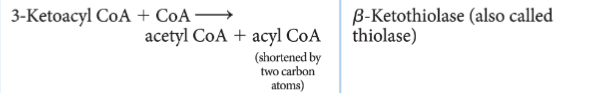 <p>Which step/stage does this reaction represent?</p>